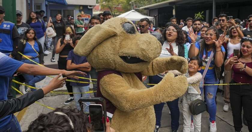 TikTok sunucusu ve tema parkı maskotu 2024'ün en popüler işleri arasında