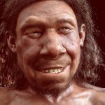 Neandertallerden modern insanlara miras kalan kısa dişler