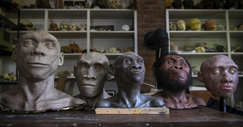 Neandertallerin kan gruplarını yok etmiş olabileceği keşfedildi