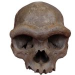 Antik ‘Ejderha Adam’ DNA’sı gizemli insan akrabasını ortaya çıkarıyor