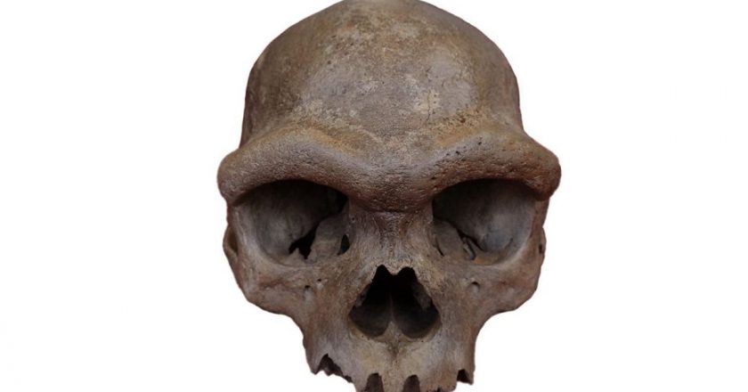 Antik ‘Ejderha Adam’ DNA’sı gizemli insan akrabasını ortaya çıkarıyor