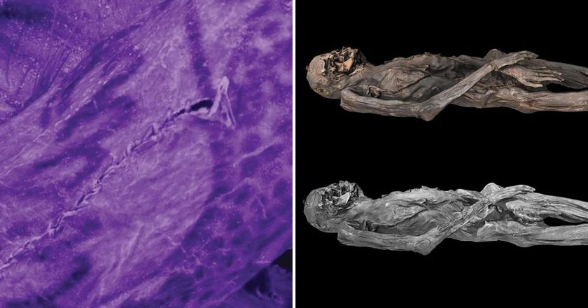 Çığır açan çalışmada 2000 yıllık buz mumyası üzerinde olağanüstü antik dövme sanatı ortaya çıkarıldı