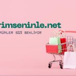 Performans ve Fiyatın Buluşma Noktası Vozol Puf En Akılcı Buhar Seçimi